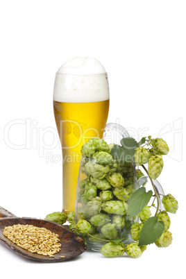 Glas Bier und ein Glas mit Hopfen gefüllt