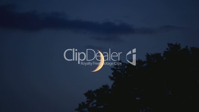 Moon timelapse with clouds and tree