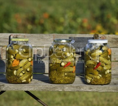 Pickled Cucumbers