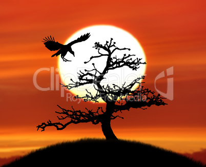 Tree Silhouette And A Bird Against Sunset