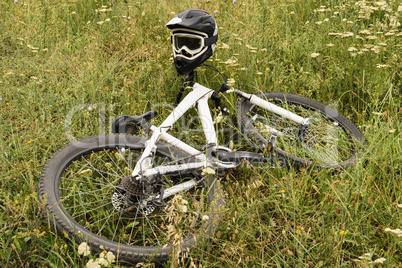 bicycle in the grass