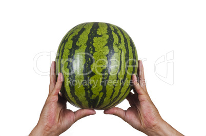 basketballmelone