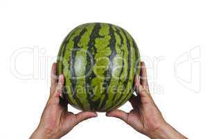 basketballmelone