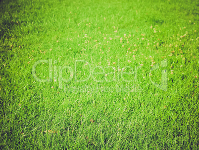 grass background