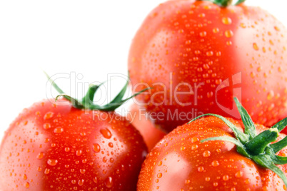 fresh tomatoes