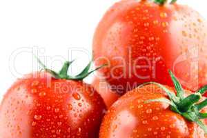 fresh tomatoes