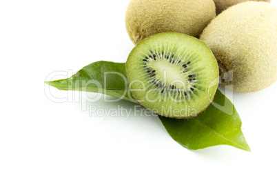 kiwi fruit