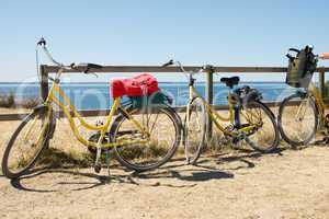 Yellow bicycles