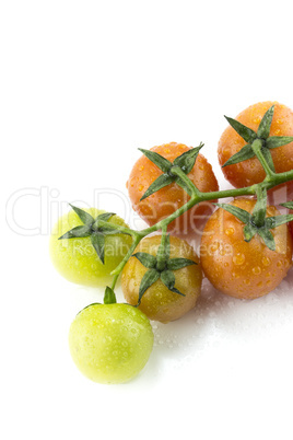 fresh cherry tomatoes