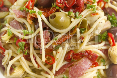 Mediterranean Salami Spaghetti