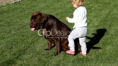 brown labrador retriever and a girl