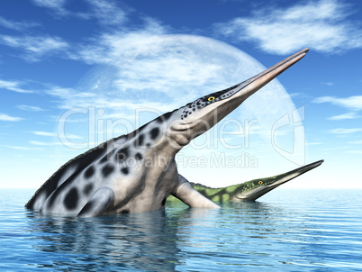 Meeresreptil Hupehsuchus