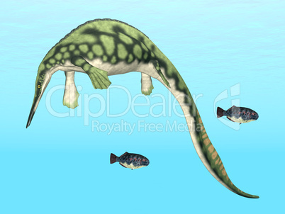 Meeresreptil Hupehsuchus