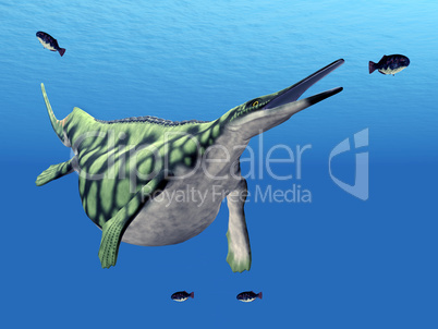 Meeresreptil Hupehsuchus
