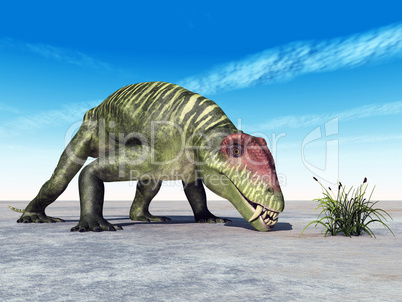 Doliosauriscus
