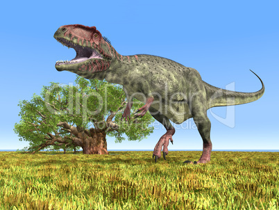 Dinosaurier Giganotosaurus