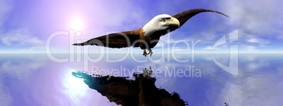 American bald eagle - 3D render