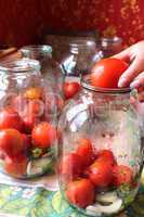 tomatos in jars prepared for preservation