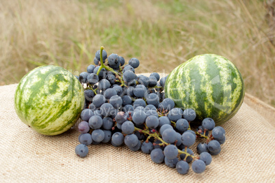 still life from two watermelons and grape