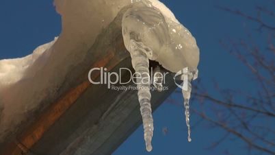 thawing icicle