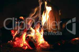 bright fire in the fireplace. burning wood photographed close.