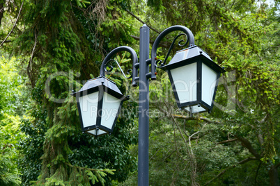 lantern of the two lights in the trees.