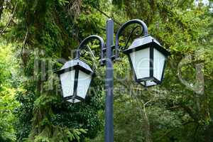 lantern of the two lights in the trees.