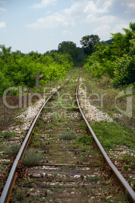 empty railroad among the trees and grass