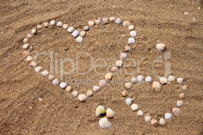 seashells on the sand in the form of heart