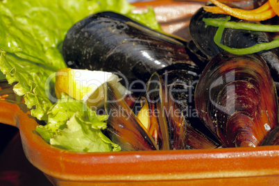 mussels on the plate