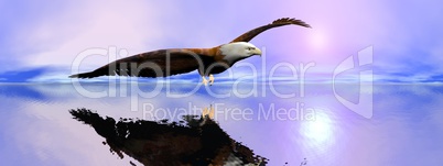 American bald eagle - 3D render