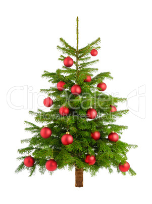 Pfiffiger Weihnachtsbaum mit roten Kugeln