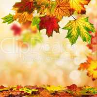 Herbst Hintergrund umrahmt mit buntem Laub