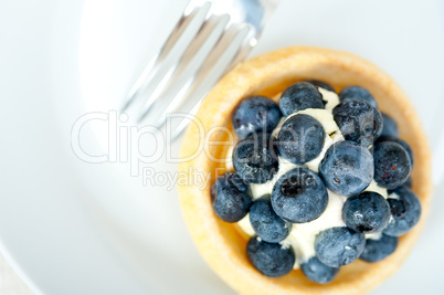 blueberry cream cupcake