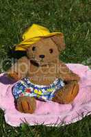 Teddybär mit Sonnenhut