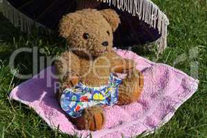 Teddybär beim Sonnenbaden