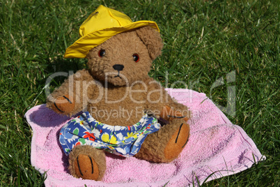 Teddybär mit Sonnenhut