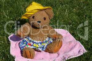 Teddybär mit Sonnenhut