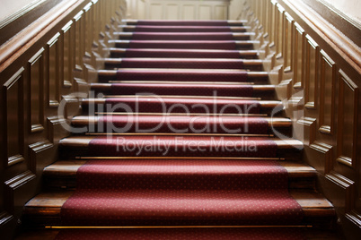 empty wooden staircase with red carpet