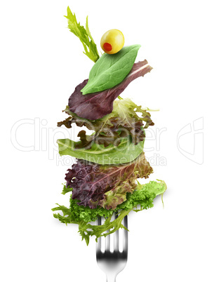 Salad Leaves