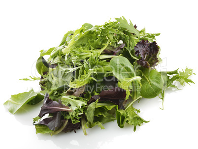 Salad Leaves