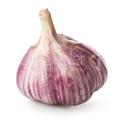 Purple garlic