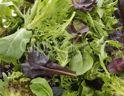 salad leaves