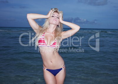 sensual young woman in a bikini at the sea