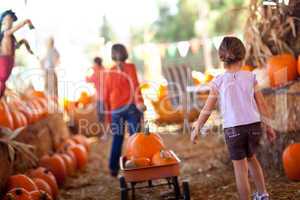 Cute Little Girls Pulling Their Pumpkins In A Wagon