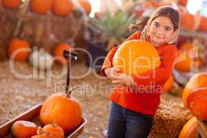 Cute Girl Choosing A Pumpkin