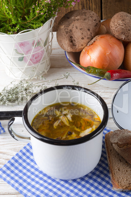 vegetarian parasol mushroom soup