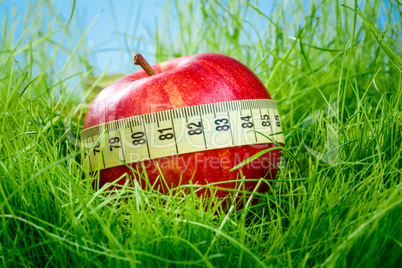 apple and measuring tape