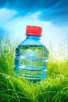 water bottle on the grass