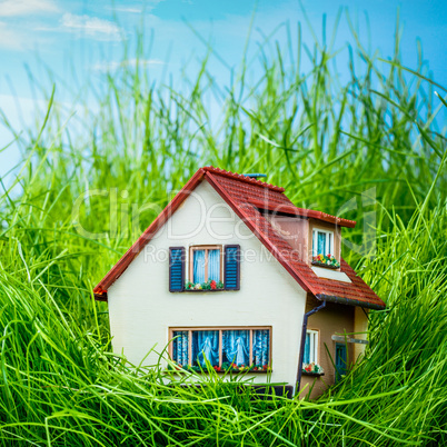 house on the green grass